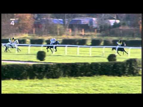 Dostihy - Velká Chuchle - 24.10.2010 - Just Field