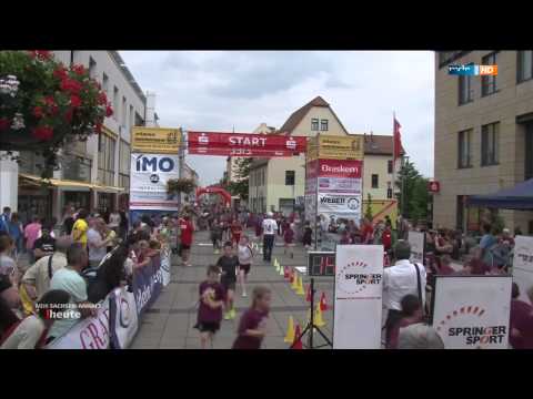 6. Benefizlauf Merseburg 2015 (MDR Sachsen-Anhalt heute)