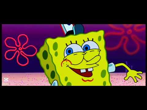 ALL-STARS INC TRAILER 2