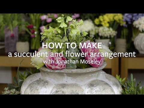 How to make a succulent and flower arrangement | Grow at Home | Royal Horticultural Society Video