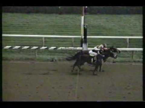 1994 Whitney Handicap (Partial) - Colonial Affair