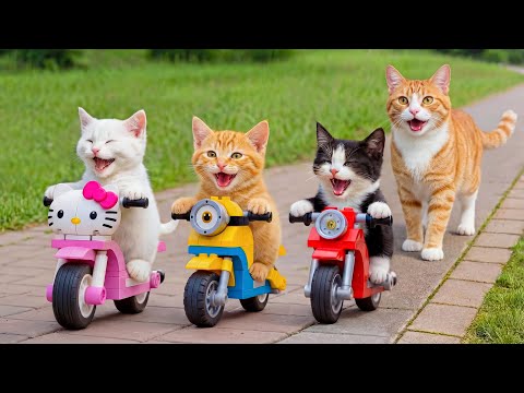 Mama Cat and Kitten Make Pizza to Buy Kitten’s Dream Toy Motor 🍕💙 | Heartwarming Story