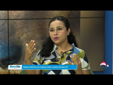 Saiba os riscos da fumaça para a saúde do seu pet 05 12 2022