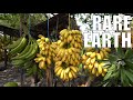 The CIA S Secret Genocide In Guatemala