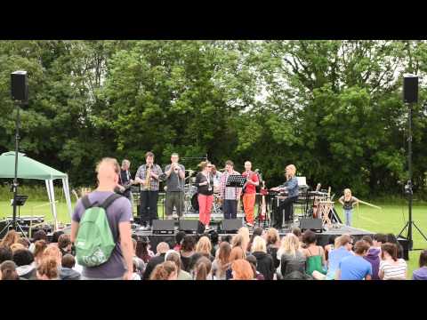 Minimal Skank at Beauchstock 2013