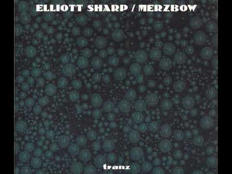 Elliott Sharp/Merzbow‎–Tranz  (2005)