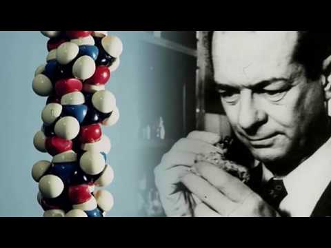 Music of History   Genetic Rhythm