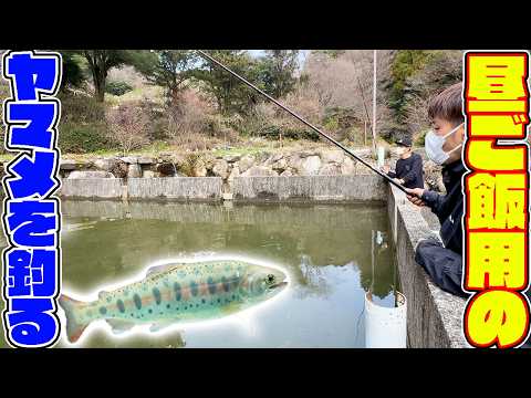 【山復興第2弾#75】昼ご飯のために放流したヤマメを釣り上げる！