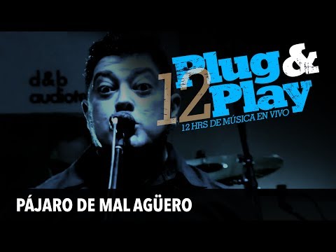 Plug & Play | Pájaro de Mal Agüero