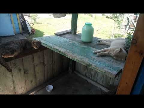 02,07,2021 Маруся и Мурзик