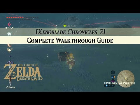 Breath of the Wild | Xenoblade 2 Armour [DLC] Side Mission Complete
