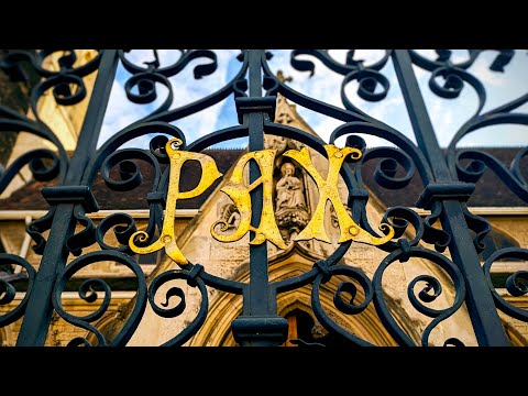 August Guan performance