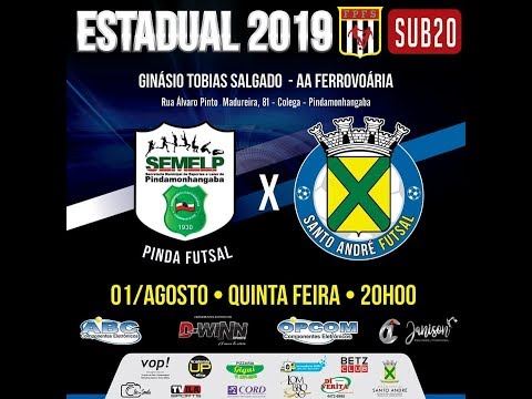Campeonato Estadual de Futsal 2019 (SUB-20)