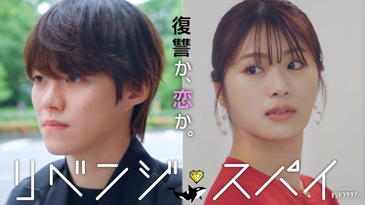 リベンジ・スパイ