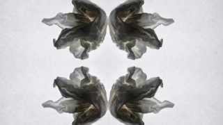 Zunder (Marek Hemmann) - Visuals