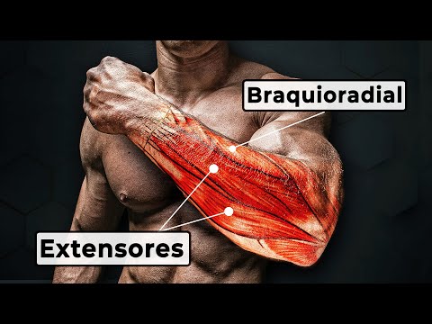 Complete FOREARM Workout (Based on Science)