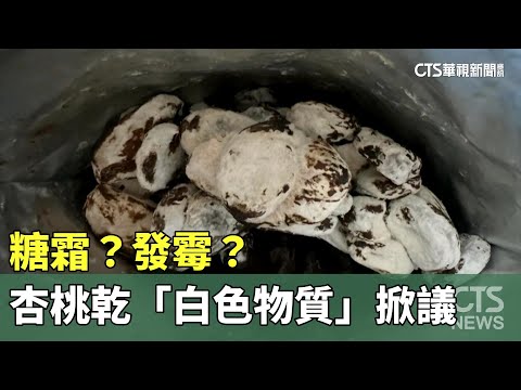 糖霜？發霉？　美式賣場杏桃乾「白色物質」掀議