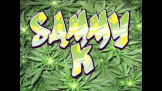 Sammy K - Bitches & Saki