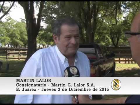 03-12-15 Nota Martin Lalor - Martìn G. Lalor S.A. - B. Juarez.