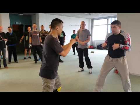 IZVOR Seminar Holland 2016 Fist Fighting