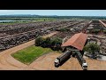 Explorando A Fazenda Colorado JBJ Agropecuária Agronegocio Pecuaria Nelore Angus