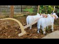 How To Make Manual Ploughing With Cow Bullock Cart DIY Woodworking Project
