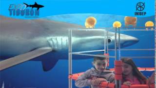 DIA 3 Expo Tiburon61