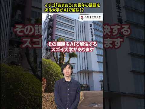 イチゴ「あまおう」の長年の課題をAIで解決!? #いちご #あまおう #久留米工業大学