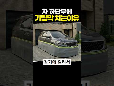 차 하단부에 가림막 치는 이유