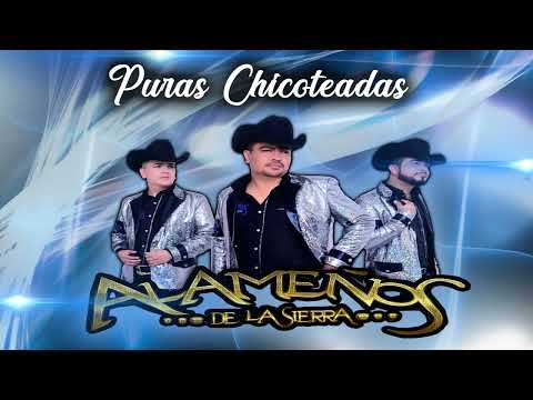 Puras Chicoteadas - Los Alameños De La Sierra