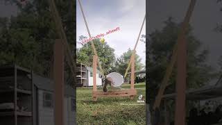 Download lagu Tupai di Luar Angkasa?!?!?! #shorts mp3