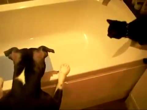 You gotta watch this! Haha