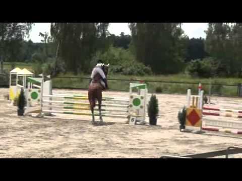 Sportpferde-ASG - Pablito van Erpekom Z  SPF A**  Weissenhorn 7-2012