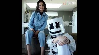 Selena Gomez Ft Marshmello - Wolves