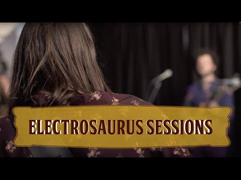DeWolff - Electrosaurus Session #2 - Jam #6 (Live at DeWolffest)