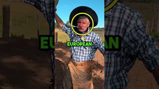 Southerners Are NOT Like Other Brazilians