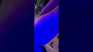 we play a ball game○●