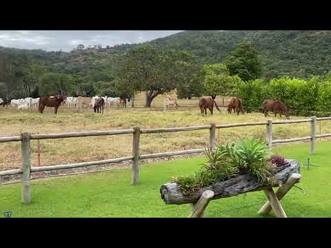 Fazenda Morro Agudo 3