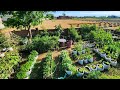 Beautiful Colorful and Bountiful Container Vegetable Garden Tour!