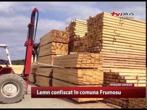 Lemn confiscat în comuna Frumosu
