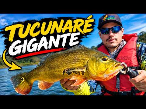 TUCUNARÉ MONSTRO DO PARANAPANEMA! Pescaria de caiaque em Terra Rica PR.