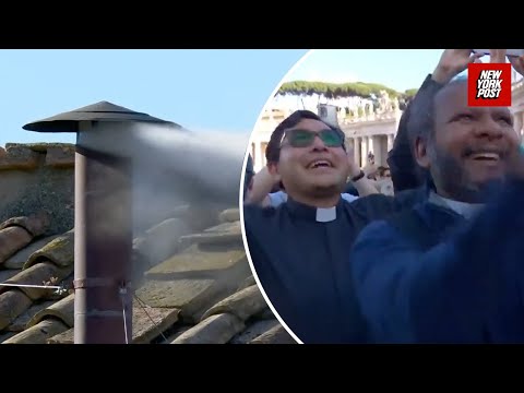  White smoke signals a new pope has been chosen, crowd erupts in cheers 