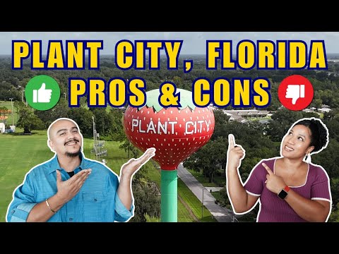 Craigslist Plant City