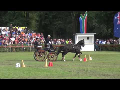 Sandro KOALICK (GER) FEI CH-M-AH2, Drebkau (Germany), cones, 15.09.2019