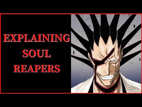 Soul Reapers Explained (Bleach)
