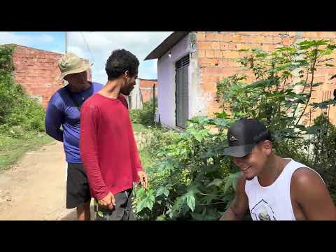 FILHO ROUBA DINHEIRO DO PRÓPRIO PAI