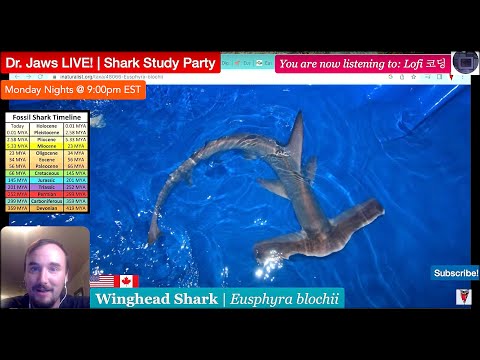 Dr. Jaws LIVE! #42 Winghead Shark Study Party