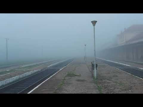 🚄🚄Activitate feroviara Stația C.F Satu Mare🚄🚄/🚄🚄Railway activity Satu Mare C.F Station🚄🚄-2023