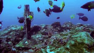 preview picture of video 'scuba diving clips- anilao batangas'
