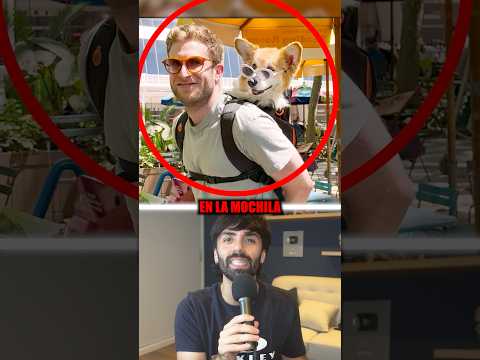 La mejor forma de ayudar a perritos sin hogar ❤️ #sabiasque #curiosidades